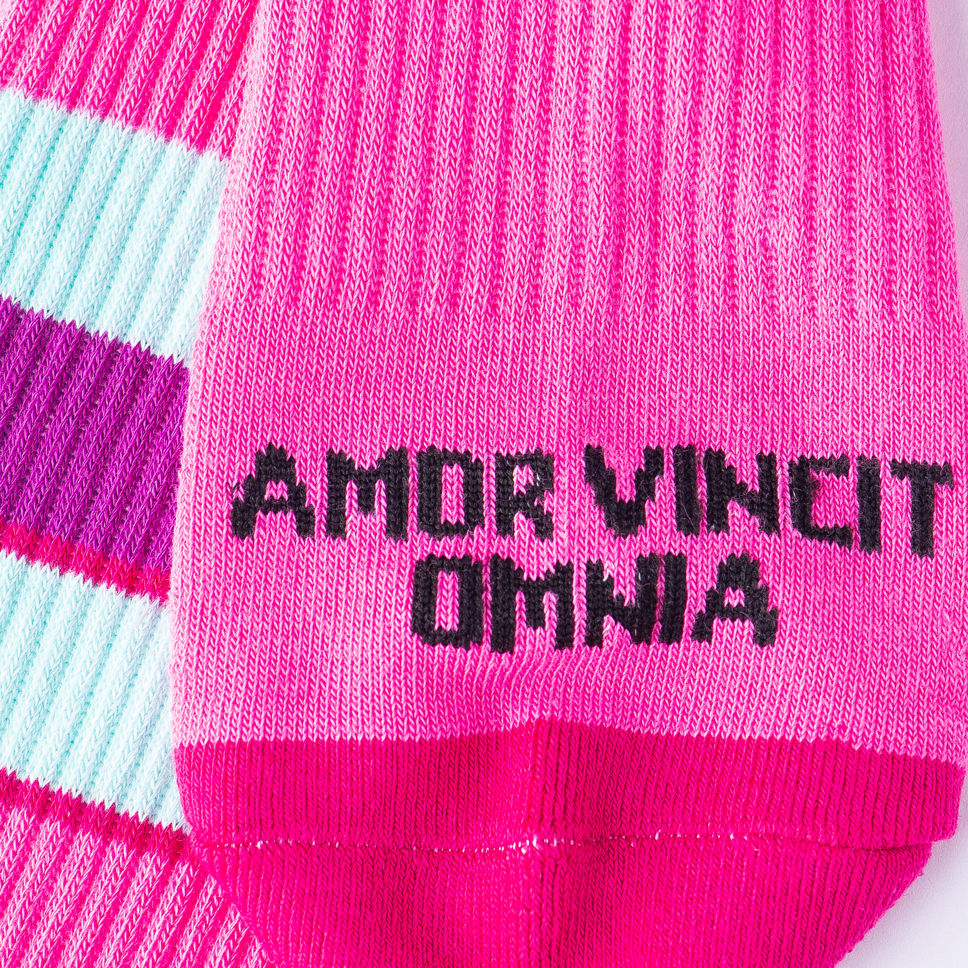 AMOR VINCIT OMNIA 2